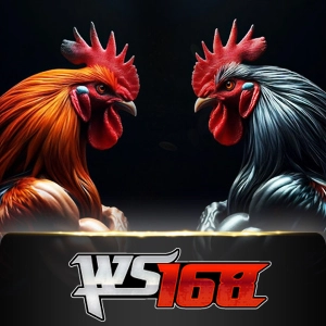 ws168 - sadabet138