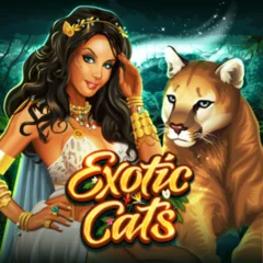 Exotic Cats - SADABET138