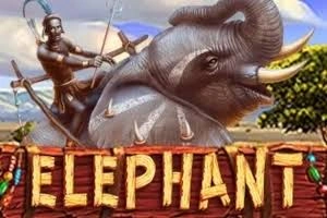 ELEPHANT - SADABET138